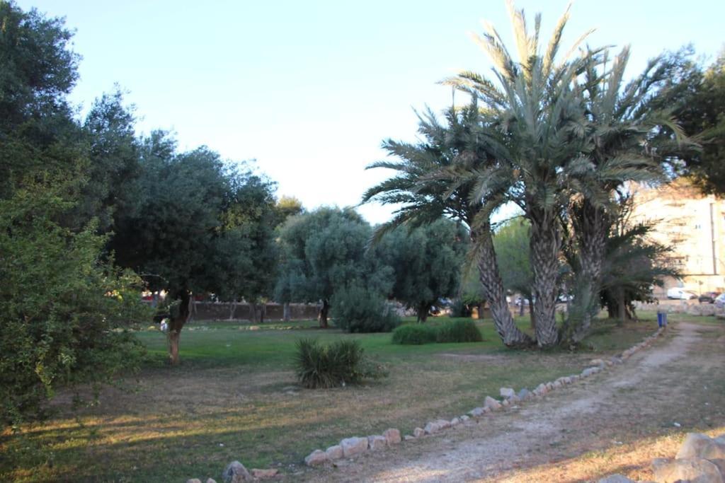 Appartamento Tesoro Del Eden *